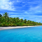 Apple Vacations Beach